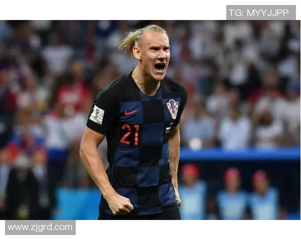 克罗地亚足球悍将维达铁血风采与绿茵场上的坚毅传奇